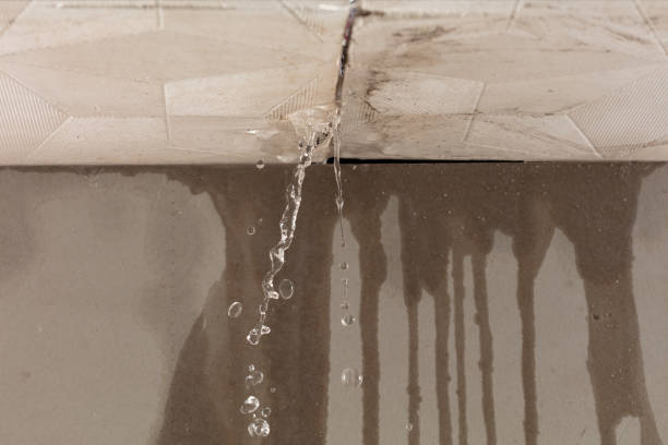 Professional Structural Drying technician working in McQueeney, TX